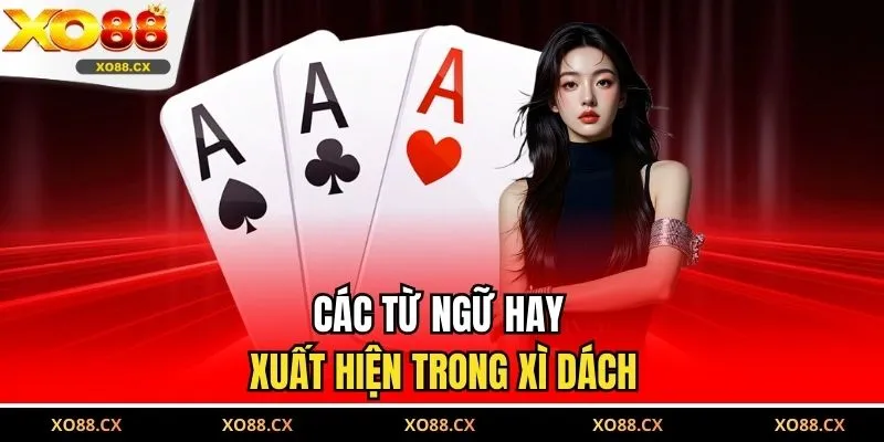 Các từ ngữ hay xuất hiện trong xì dách