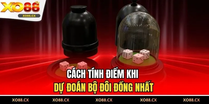Cách tính điểm khi dự đoán bộ đôi đồng nhất