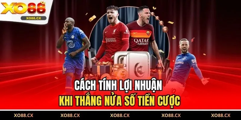 Cách tính lợi nhuận khi thắng nửa số tiền cược