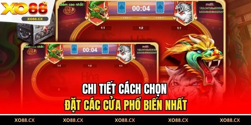 Chi tiết cách chọn đặt các cửa phổ biến nhất
