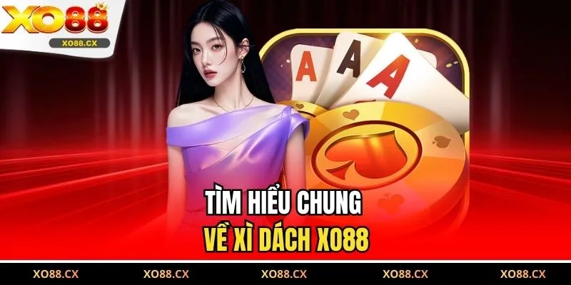 Tìm hiểu chung về xì dách XO88
